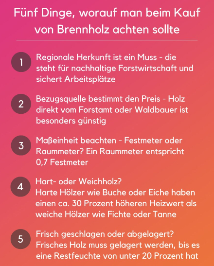kaminkassette,heizkassette,kamineinsatz,kaminumrüstung,offener kamin,kaminofen,kamin,ofen,inzethaard,inbouwhaard,cheminee