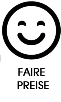 2-Kamineinsatz Austausch,Kachelofeneinsatz erneuern,Heizeinsatz Erneuerung,Kamineinsatz wechseln